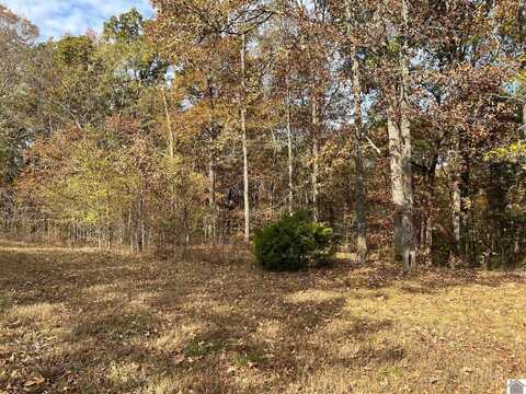 Lot 24 Haynes Cemetery Road, Murray, KY 42071