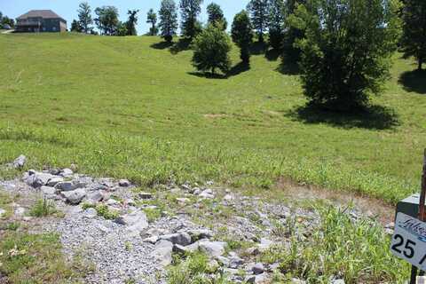 Lot 25 Oak View Lane, Eddyville, KY 42038