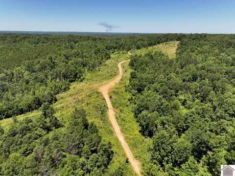 000 McNabb Creek Road, Eddyville, KY 42038