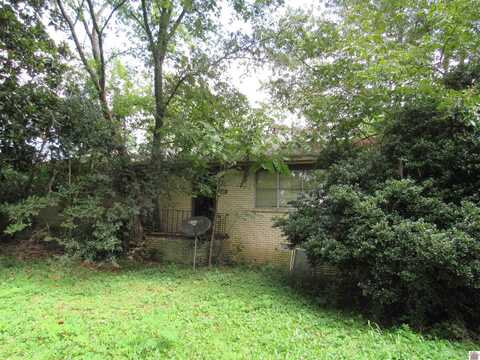 6400 Sate Route 1283, Water Valley, KY 42085