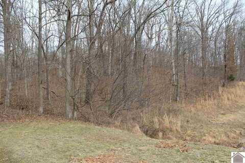 Lot 33 Roy Harris Road, Kuttawa, KY 42055