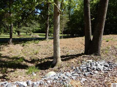 Lot 7, 8 Roy Harris Road, Kuttawa, KY 42055