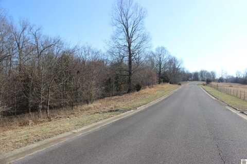 000 Palmer Dr - Lot 51, Benton, KY 42025