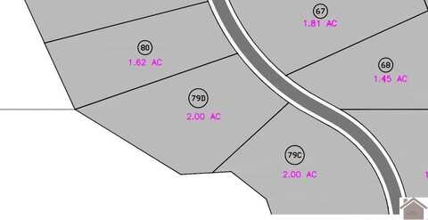 lot 79D Waterfowl, Murray, KY 42071