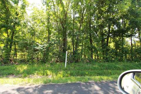 LOT #9 ELKHORN TAVERN ROAD, Eddyville, KY 42038