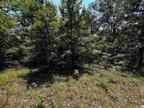 Lot 150 Centerview Rd, Murray, KY 42071