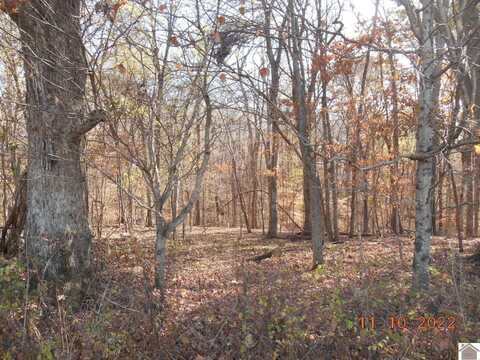 Lot 14 Woodfield Estates Dr., Cadiz, KY 42211