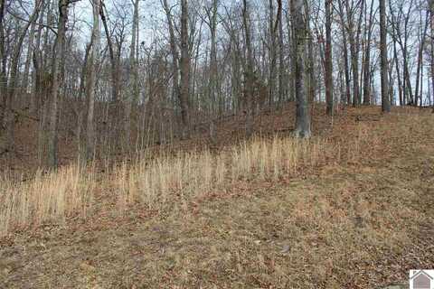 Lot 35 Roy Harris Road, Kuttawa, KY 42055