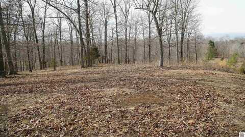 000 Fern Creek Ln - Lot 11, Benton, KY 42025