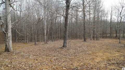 000 Fern Creek Ln - Lot 8, Benton, KY 42025