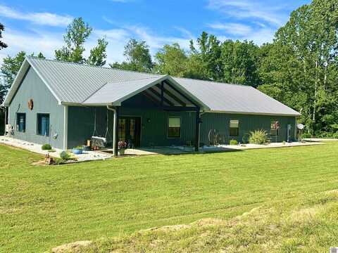 101 Ridgeview Lane, TN Mansfield Henry County, TN 38236