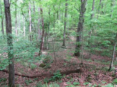 Lot 11 Barkley Shores, Cadiz, KY 42211