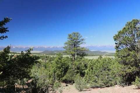 572 Domingo Way, Westcliffe, CO 81252