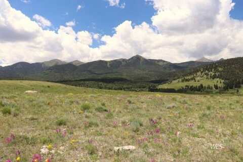 380 Shoshone Ridge Rd, Westcliffe, CO 81252