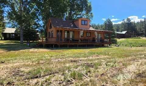 6460 CO RD 328, Westcliffe, CO 81252