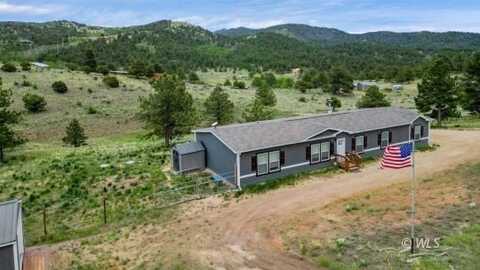 8668 CR 328, Westcliffe, CO 81252