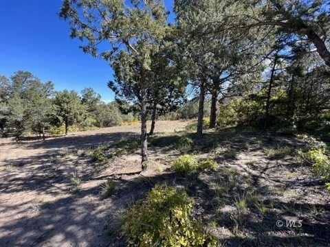 1806 Corral North, Texas Creek, CO 81223