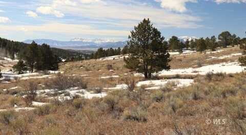 113 Junkins Loop, Westcliffe, CO 81252