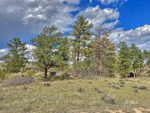 488 Color Sweet Dr, Texas Creek, CO 81223