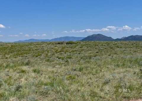 TBD County Road 251, Westcliffe, CO 81252