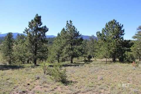 Tract 4 Patriot Circle, Westcliffe, CO 81252