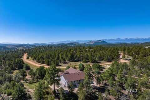 629 Tumbleweed Rd, Cotopaxi, CO 81223