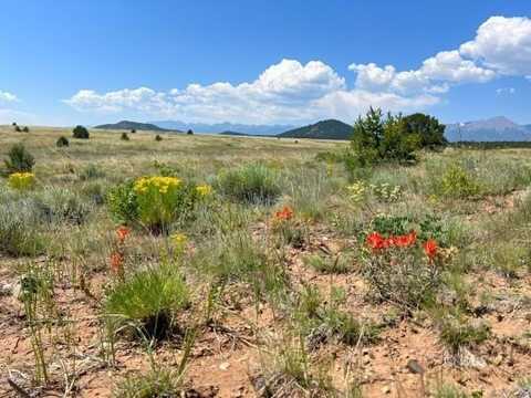 000 Corral North, Cotopaxi, CO 81223