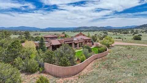 1328 Round Up Rd, Westcliffe, CO 81252