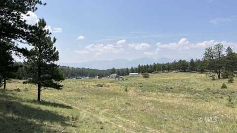 Lot 54 Democrat Cir, Westcliffe, CO 81252