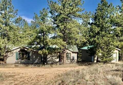 1335 Sangre Dr, Westcliffe, CO 81252