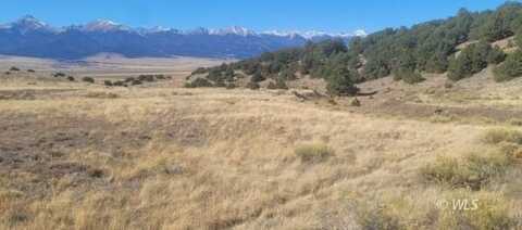 267 Crow Rd, Westcliffe, CO 81252