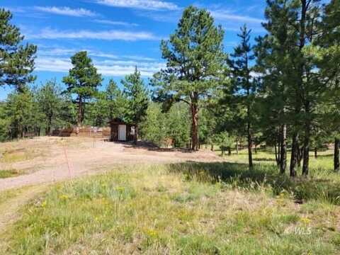 127 Beneaton Ln, Westcliffe, CO 81252