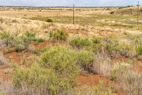 35 Ranch (5126) Road, Concho, AZ 85924