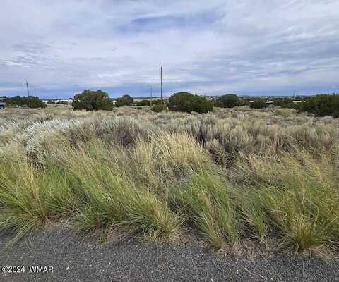 74 Alpine Lane, Concho, AZ 85924