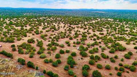 0 Silver Lake Blvd 248.5 Acres, Show Low, AZ 85901