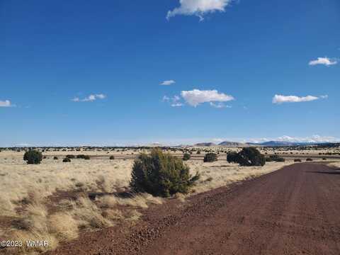 Tbd CR 5105, Concho, AZ 85924