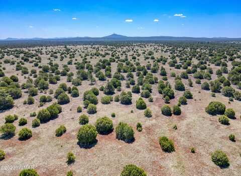 Tbd Penrod 133 Acres, Show Low, AZ 85901