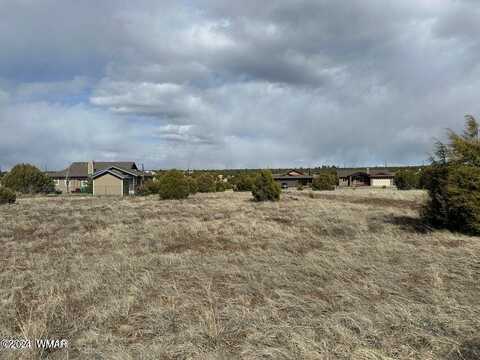 1000 S Ridgecreek Lane, Show Low, AZ 85901