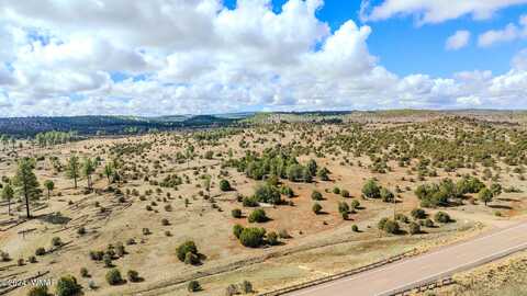 3657 State Route 260, Clay Springs, AZ 85923