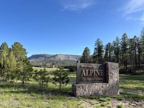 11 Co Rd 2074, Alpine, AZ 85920