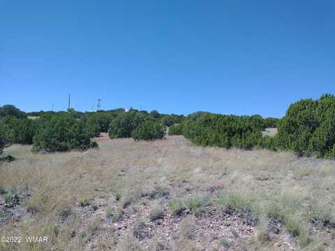 21 Navajo Drive, Concho, AZ 85924