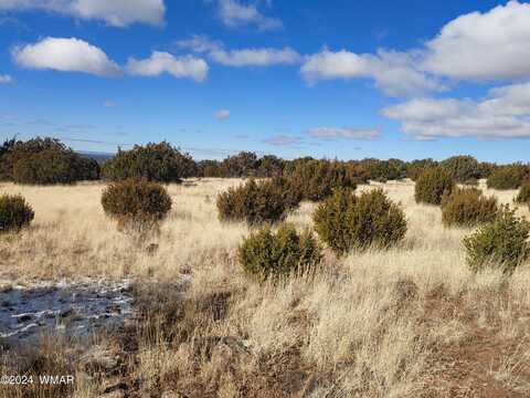 97 County Road 8118, Concho, AZ 85924