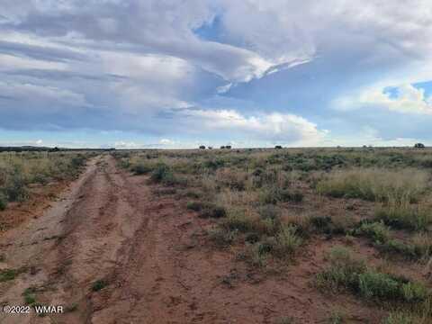 8231 Lois Lane, Snowflake, AZ 85937