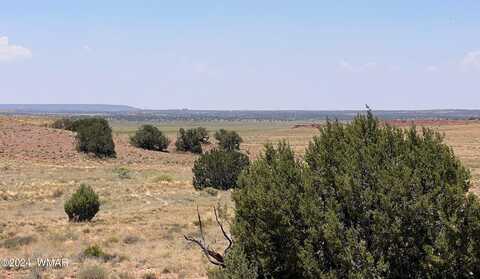 104 N9328, Concho, AZ 85924