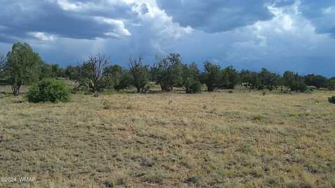 Tbd Concho 3, Concho, AZ 85924