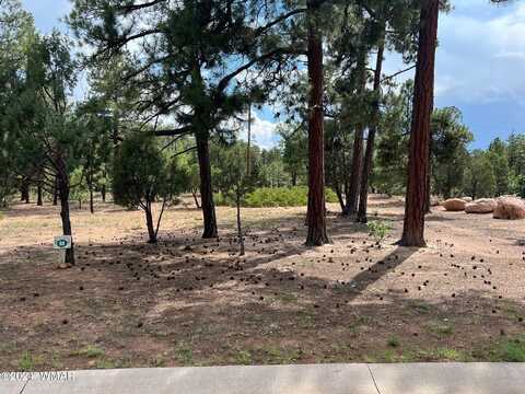 4991 Silver Mountain Drive, Lakeside, AZ 85929