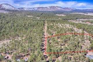 Parcel C COUNTY ROAD N2147, Alpine, AZ 85920