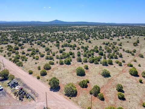 Tbd Penrod 40 Acres, Show Low, AZ 85901