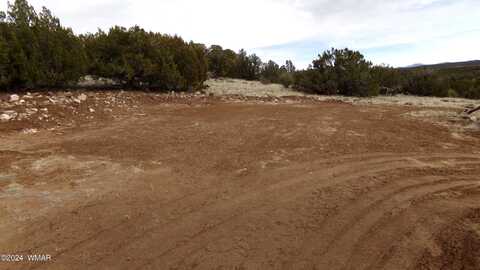 2 County Road, Concho, AZ 85924