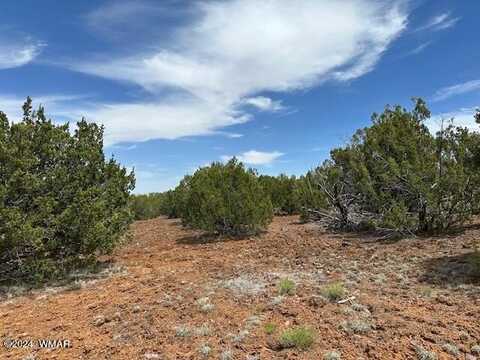 40 Co Road, Concho, AZ 85924